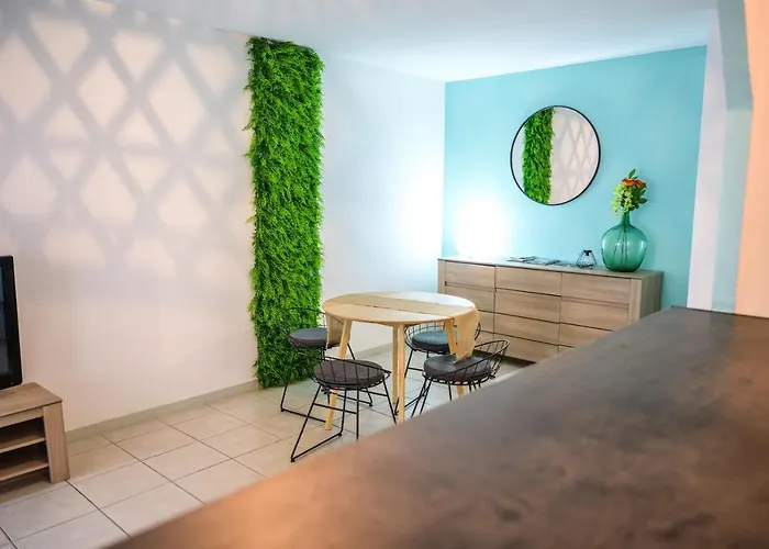 Premium Parking Tramway Wifi Apartament Tuluza