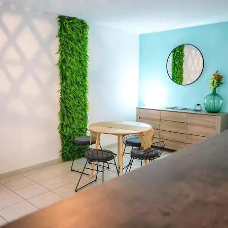 Premium Parking Tramway Wifi Appartamento Tolosa